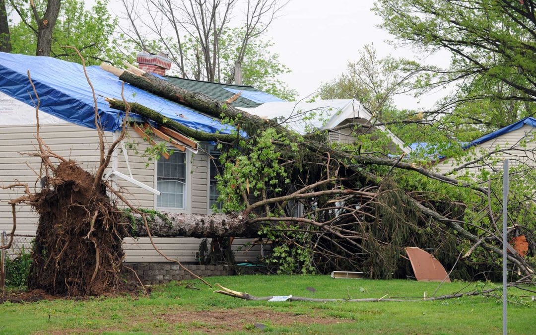 What to Do If a Storm Damage Your Roof in Salt Lake City