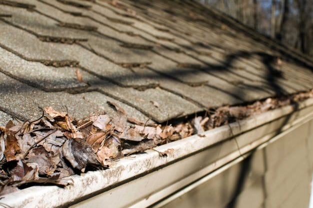 spring roof problems, spring roof damage, Salt Lake City